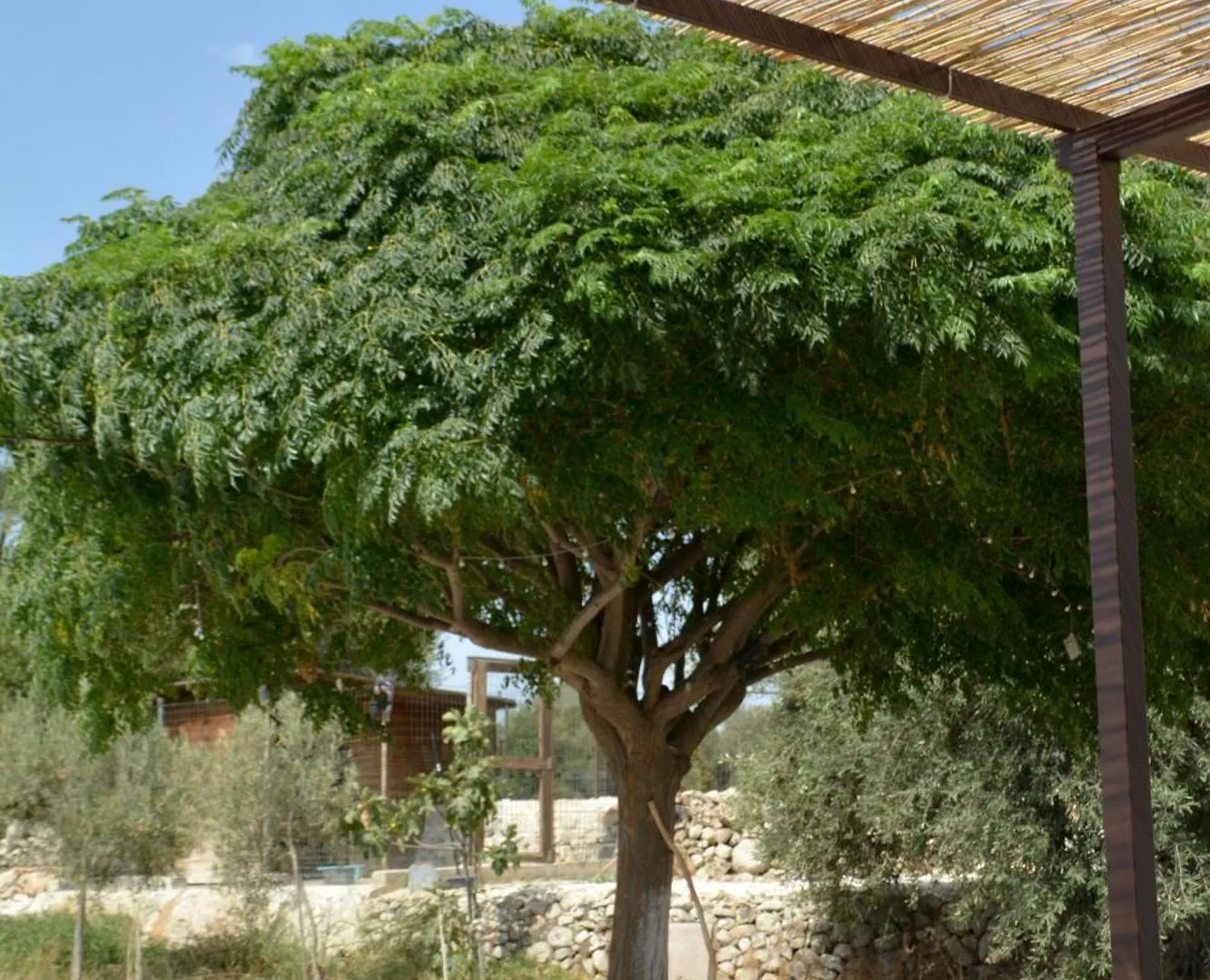Ziran Resort Noto